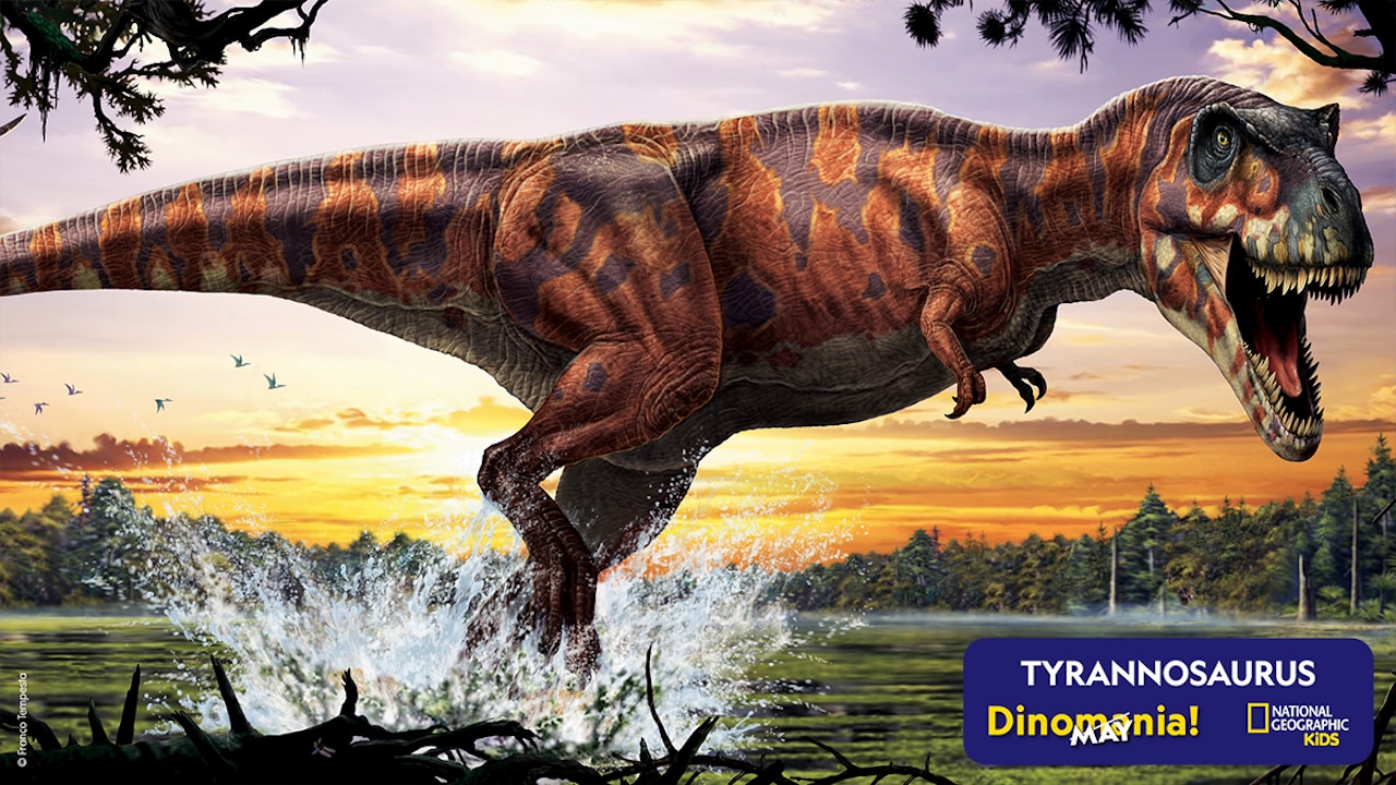 Join National Geographic Kids for the First-Ever DinoMAYnia Celebration  featuring Favorite Prehistoric Creatures | Disney Parks Blog