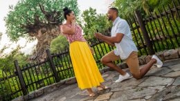 Couple. Proposing. PhotoPass