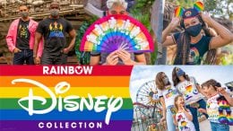 Disney Pride Products collage