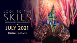 Graphic with guest watching fireworks at Magic Kingdom Park - Look to the Skies - More Magic Returns Next Month - July 2021 - Disneyland Resort | Walt Disney World Resort