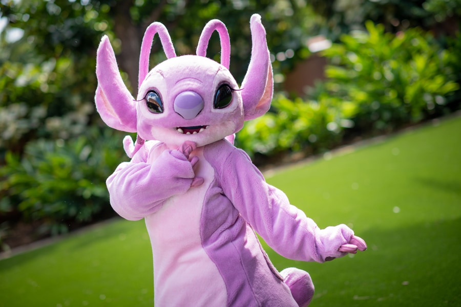 New Disney100 Corkcicles Featuring Lilo's Dress Pattern and Stitch's Mouth  Arrive at Walt Disney World - WDW News Today