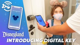 Graphic for the Disneyland App Digital Key