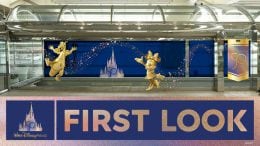 First Look: Walt Disney World Resort 50th anniversary art installation coming to Orlando International Airport
