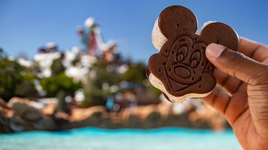 Mickey’s Premium Ice Cream Sandwich - Disney's Blizzard Beach Water Park