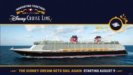Disney Cruise Line graphic