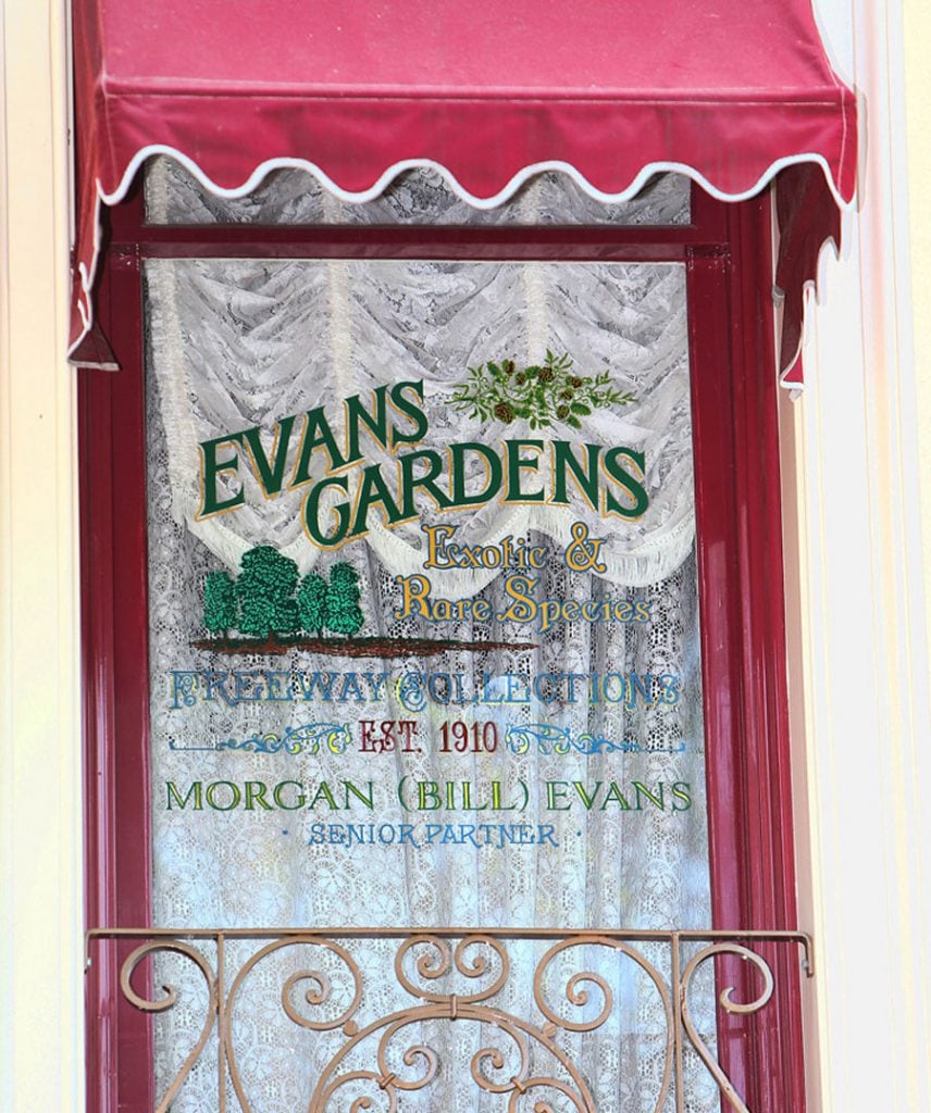 Bill Evans window