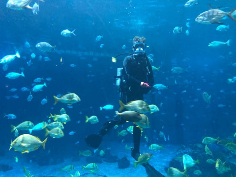 Take a Dive in The Seas at EPCOT Disney Parks Blog