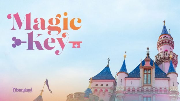 The Best Gifts for Disney Lovers - Inside the Magic