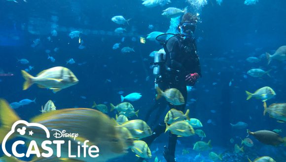 Disney Cast Life | Dive Master