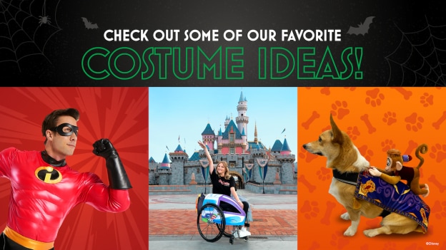 Graphic of costume ideas from shopDisney