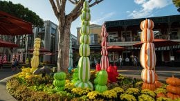 Fall Decor at Downtown Disney District