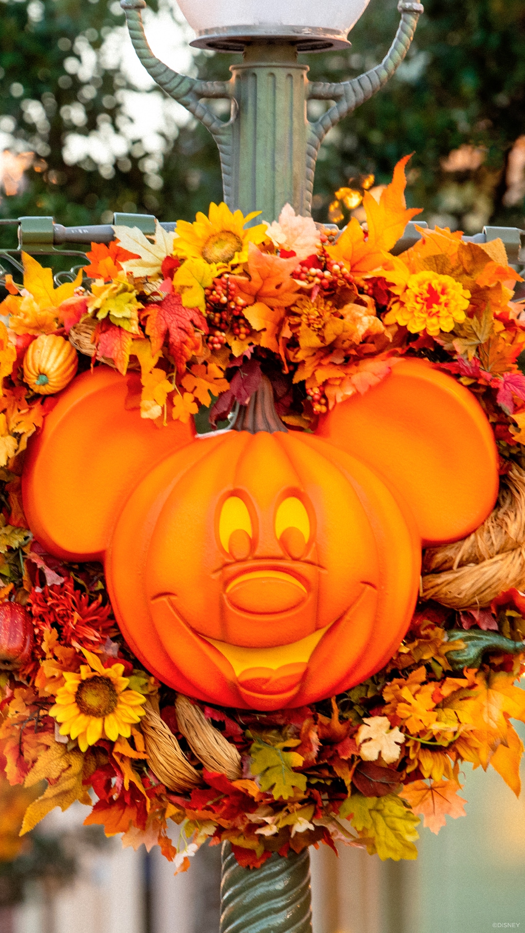 Mickey Halloween Wreath 2022 2021 Walt Disney World Mickey Halloween Wreath Wallpaper Iphone Android Apple Watch Disney Parks Blog