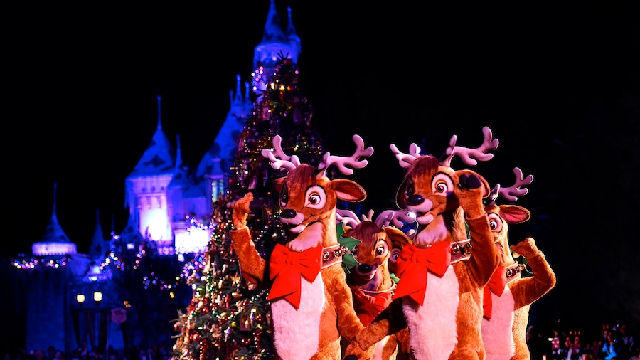 Reindeer at Disneyland Park