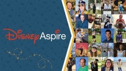 Collage of Disney Aspire graduates