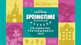 Graphic for the new runDisney Springtime Surprise Weekend