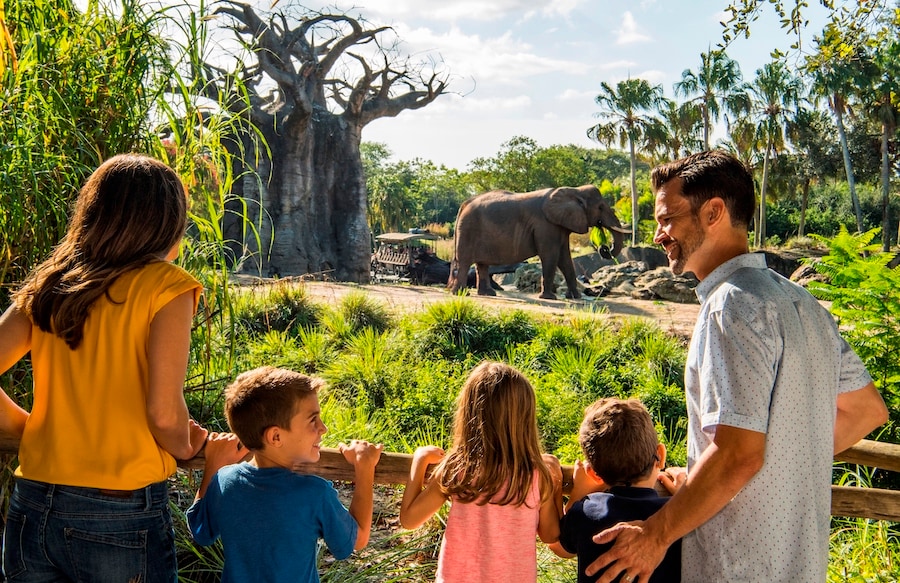 Family on the Caring for Giants tour at Disney's Animal Kingdom