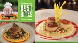 Graphic for Best Bites at Walt Disney World Resort