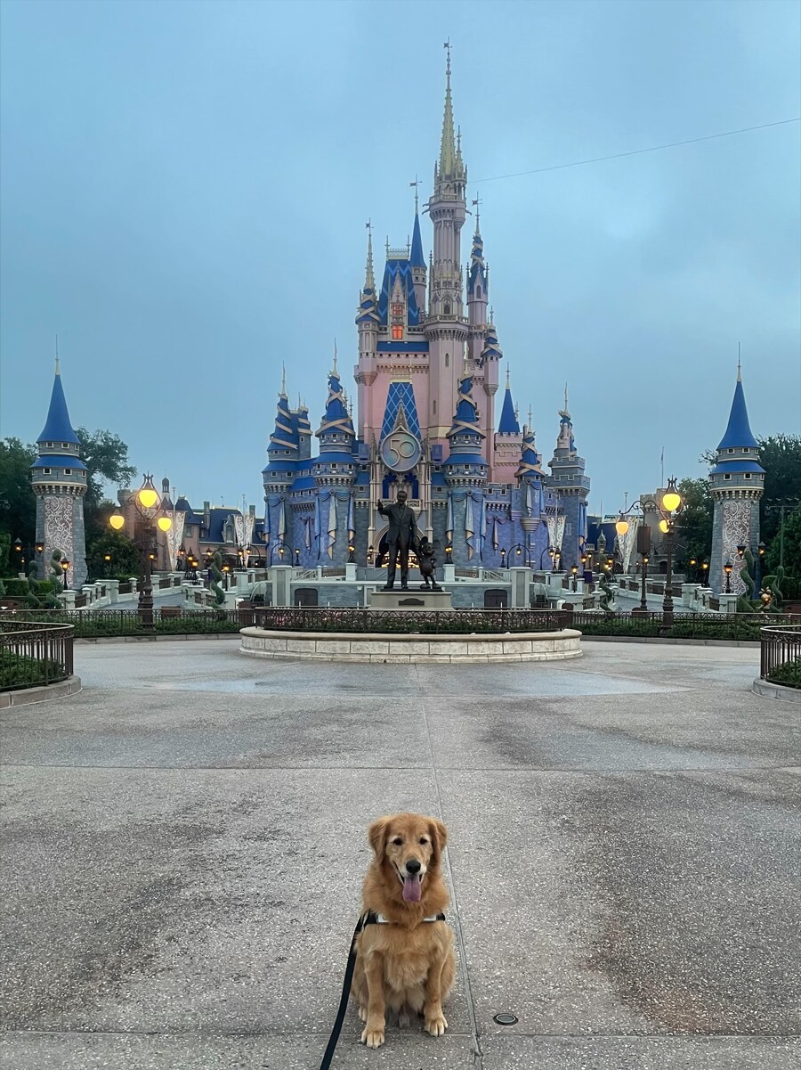 Jordan in front of Cinderella's Castle