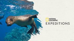 Graphic for National Geographic Expeditions