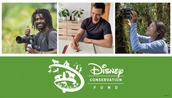 Disney Conservation Fund