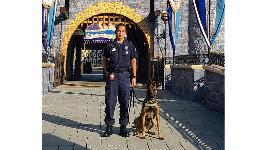 Dexter and Ka$h in front of Sleeping Beauty Castle