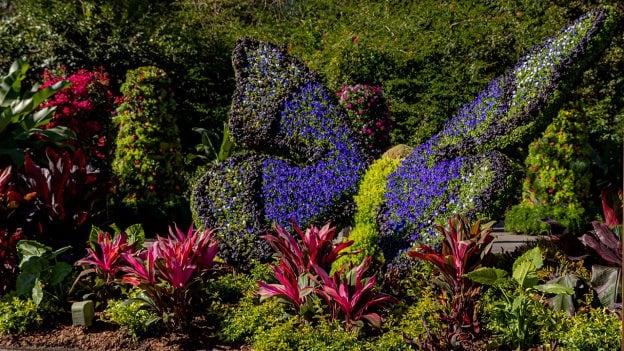 Butterfly topiary at EPCOT