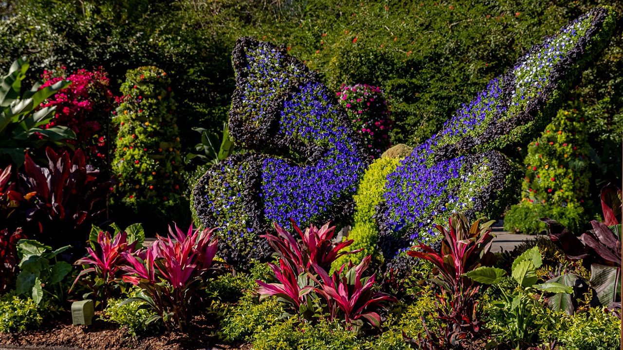 DisneyFamilia: 'Encanto'-Inspired Garden Debuts at EPCOT International Flower & Garden Festival | Disney Parks Blog