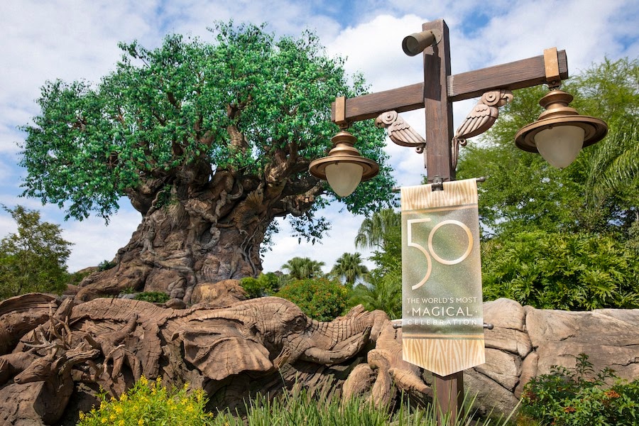 Discover the Magic of Our Beautiful Planet During Earth Week Celebration at  Disney's Animal Kingdom | Disney Parks Blog