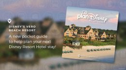 Beginners Guide to Disney’s Vero Beach Resort graphic