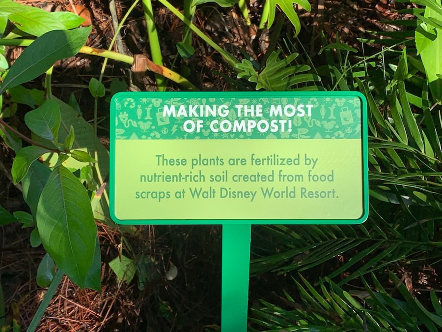 Signage in the landscaping at Restaurantosaurus and the Pollinator Garden area at Rafiki’s Planet Watch at Disney’s Animal Kingdom