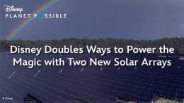 Disney Doubles Ways to Power the Magic with Two New Solar Farms