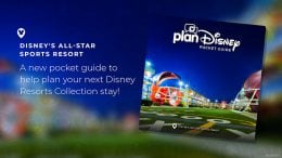 Beginner's guide to Disney's All Star Sports Resort