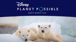 Earth Day 2022 Disney Planet Possible Polar Bears Feature Image