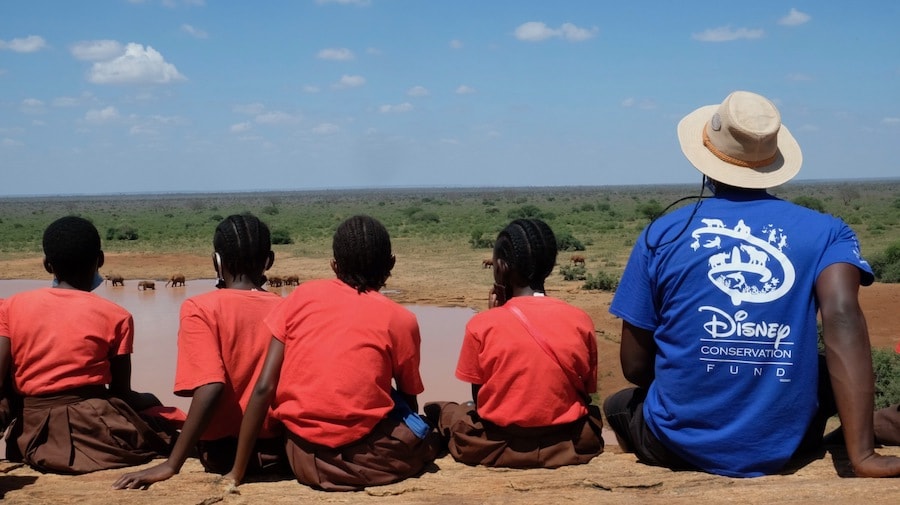 Teacher and students watching elephants 