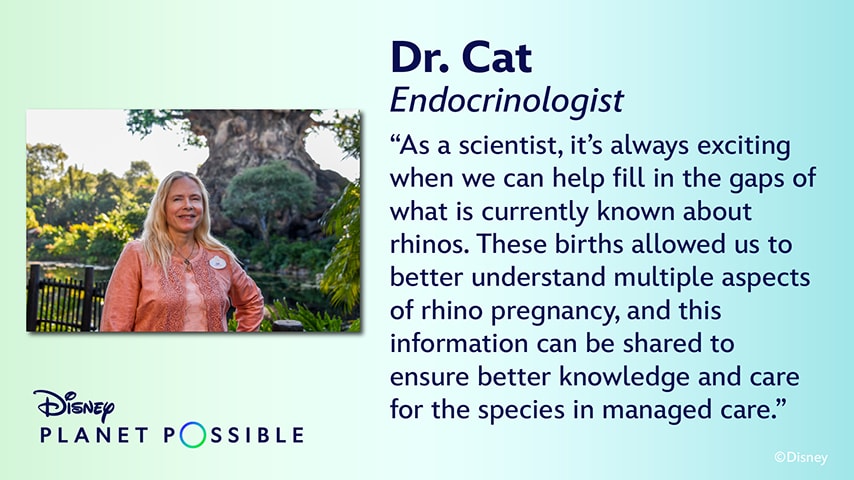 Dr. Cat Endocrinologist "As a scientist, it's always exciting when we can help fill in the gaps of what is currently known about rhinos. These births allowed us to better understand multiple aspects of rhino pregnancy, and this information can be shared to ensure better knowledge and care for the species in managed care."