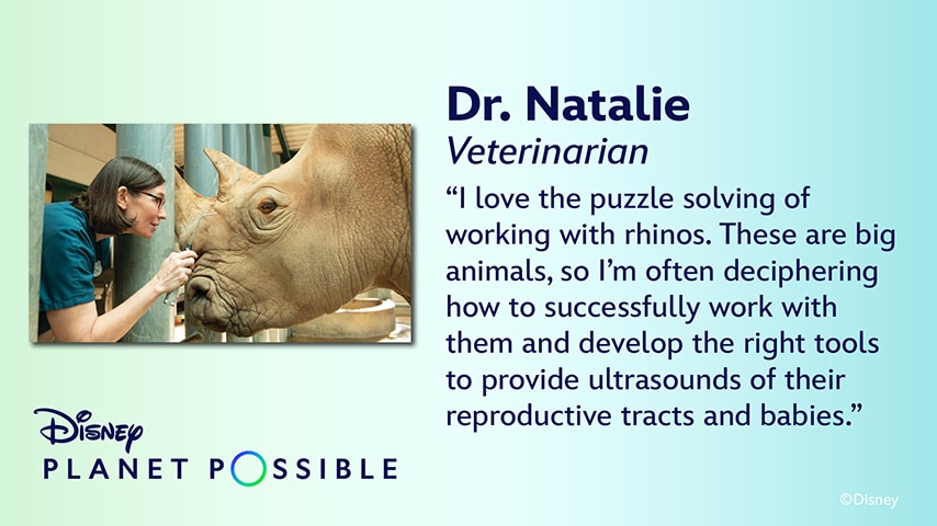Dr. Natalie Veterinarian "I love the puzzle solving of working with rhinos. These are big animals, so I'm often deciphering how to successfully work with them and develop the right tools to provide ultrasounds of their reproductive tracts and babies."