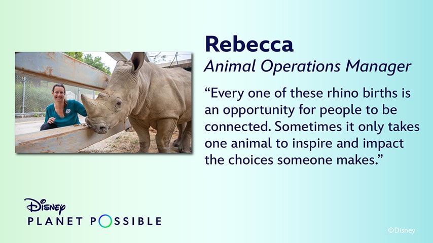 Rebecca Animal Operations Manager "Every one of these rhino births is an opportunity for people to be connected. Sometimes it only takes one animal to inspire and impact the choices someone makes."