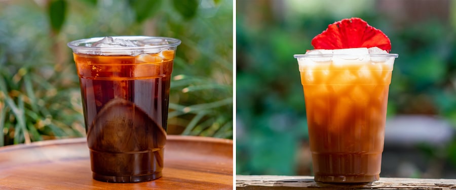 Cardamom Cold Brew and Pride Rock Punch
