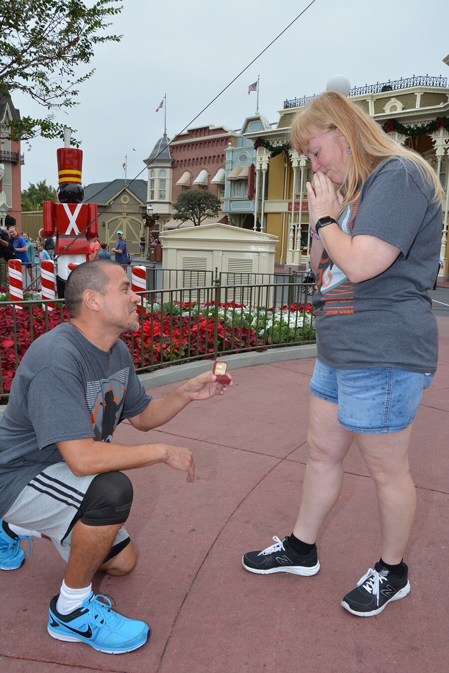 Disney proposal