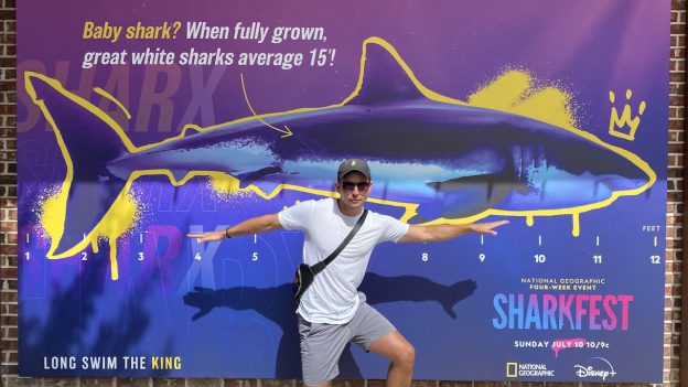 Great White shark photo wall located outside of Disney’s Days of Christmas store