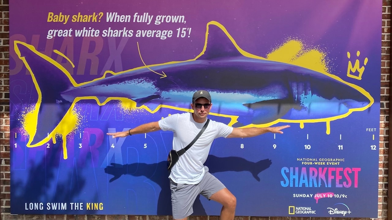 How to watch SharkFest 2023: National Geographic's month of shark