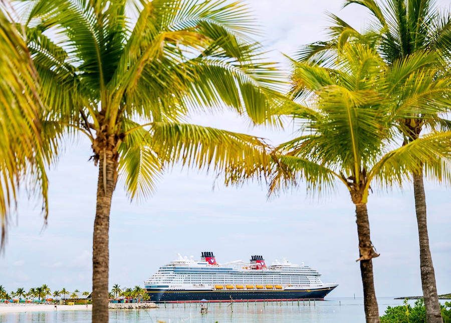 Disney Cruise ship in far distance between two palm trees on the water