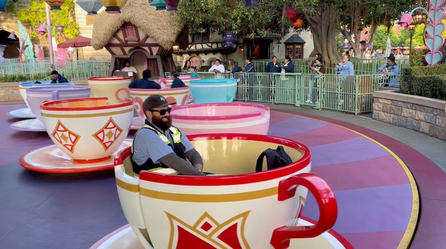 A Disneyland Resort cast member at Fantasyland celebrates the 67th anniversary