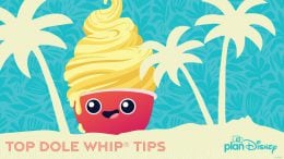 planDisney Top Dole Whip Tips