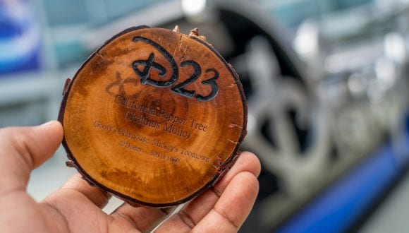 Unique wooden medallion made from a tree at Disneyland Resort