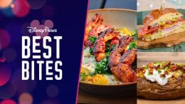 Best Bites Header Photo