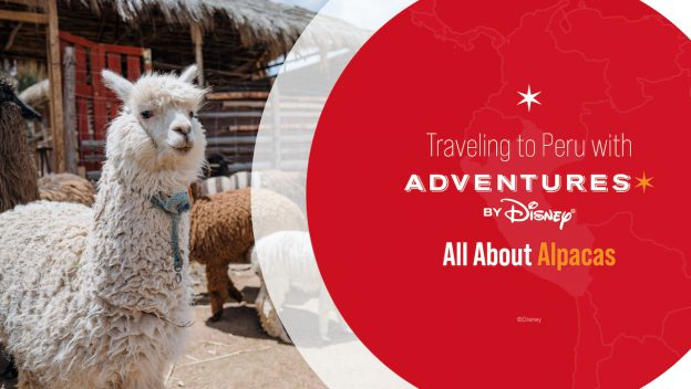 Traveling to Peru with Adventures by Disney