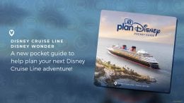 Beginners Guide to the Disney Wonder