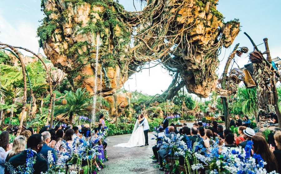 Disney Destination Gatherings - a wedding at Disney's Animal Kingdom 