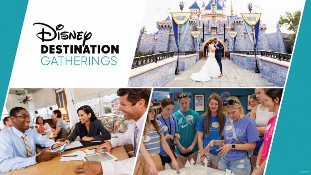 Disney Destination Gatherings - a collage of gatherings